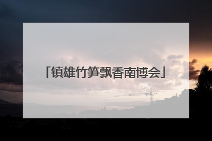 镇雄竹笋飘香南博会