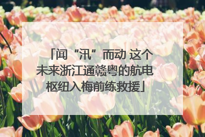 闻“汛”而动 这个未来浙江通赣粤的航电枢纽入梅前练救援