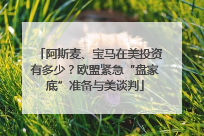 阿斯麦、宝马在美投资有多少？欧盟紧急“盘家底”准备与美谈判