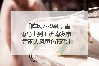 阵风7~9级，雷雨马上到！济南发布雷雨大风黄色预警