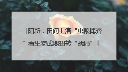 阳新：田间上演“虫粮博弈”看生物武器扭转“战局”