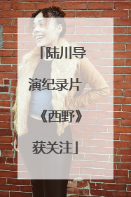 陆川导演纪录片《西野》获关注