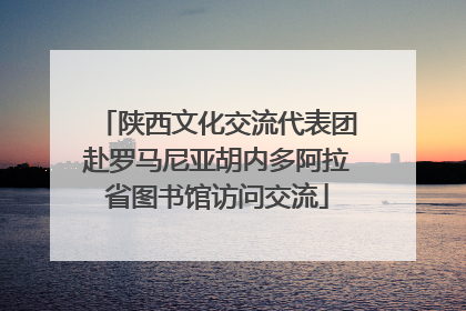 陕西文化交流代表团赴罗马尼亚胡内多阿拉省图书馆访问交流