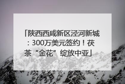 陕西西咸新区泾河新城：300万美元签约！茯茶“金花”绽放中亚