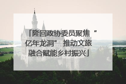 隆回政协委员聚焦“亿年龙洞” 推动文旅融合赋能乡村振兴