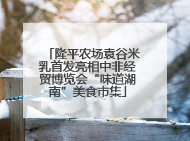 隆平农场袁谷米乳首发亮相中非经贸博览会“味道湖南”美食市集