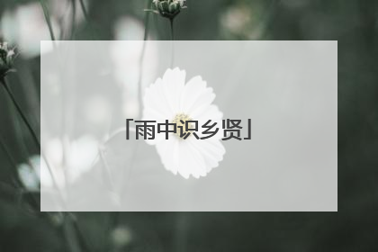 雨中识乡贤
