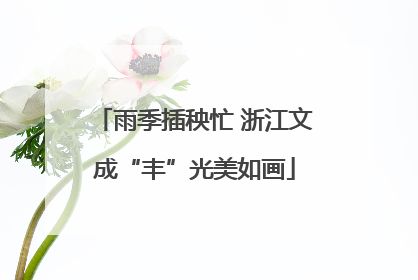 雨季插秧忙 浙江文成“丰”光美如画