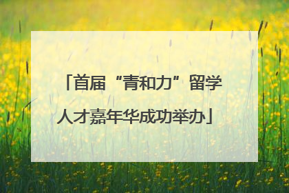 首届“青和力”留学人才嘉年华成功举办