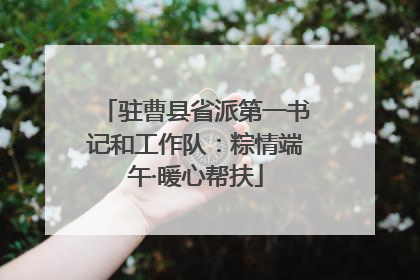 驻曹县省派第一书记和工作队：粽情端午·暖心帮扶