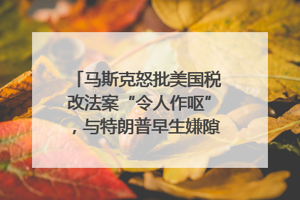 马斯克怒批美国税改法案“令人作呕”，与特朗普早生嫌隙？｜国际识局