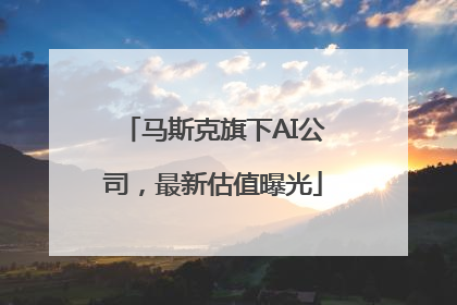 马斯克旗下AI公司，最新估值曝光