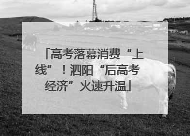 高考落幕消费“上线”！泗阳“后高考经济”火速升温