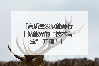 高质量发展能源行丨储能界的“技术盲盒” 开箱！
