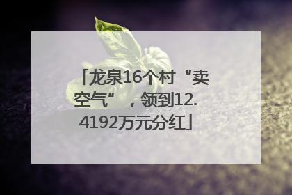 龙泉16个村“卖空气”，领到12.4192万元分红