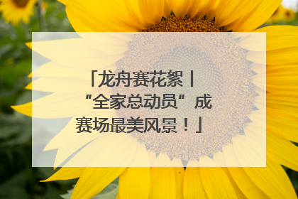 龙舟赛花絮丨 “全家总动员”成赛场最美风景！