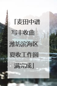麦田中谱写丰收曲 潍坊滨海区夏收工作圆满完成