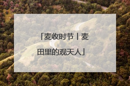 麦收时节丨麦田里的观天人