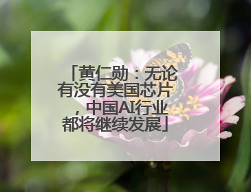 黄仁勋：无论有没有美国芯片，中国AI行业都将继续发展