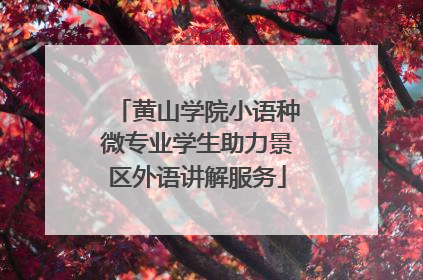 黄山学院小语种微专业学生助力景区外语讲解服务