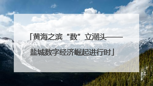 黄海之滨“数”立潮头——盐城数字经济崛起进行时