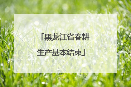黑龙江省春耕生产基本结束