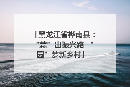 黑龙江省桦南县：“蒜”出振兴路 “园”梦新乡村