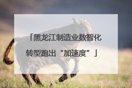 黑龙江制造业数智化转型跑出“加速度”