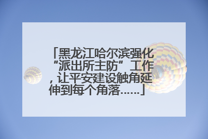 黑龙江哈尔滨强化“派出所主防”工作，让平安建设触角延伸到每个角落……