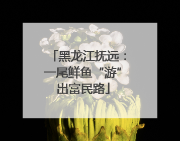 黑龙江抚远：一尾鲜鱼“游”出富民路