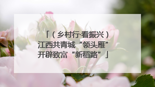 （乡村行·看振兴）江西共青城“领头雁”开辟致富“新稻路”