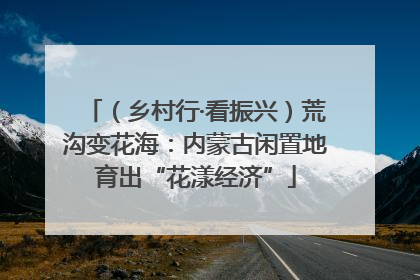 （乡村行·看振兴）荒沟变花海：内蒙古闲置地育出“花漾经济”