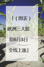 （图表）欧洲三大股指6月3日全线上涨