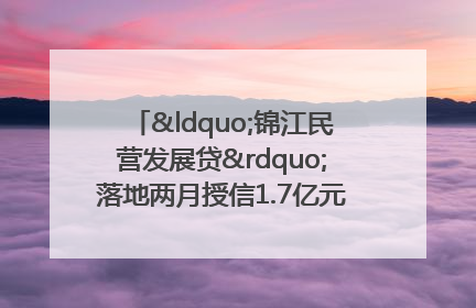 “锦江民营发展贷”落地两月授信1.7亿元，惠及118家民企