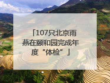 107只北京雨燕在颐和园完成年度“体检”