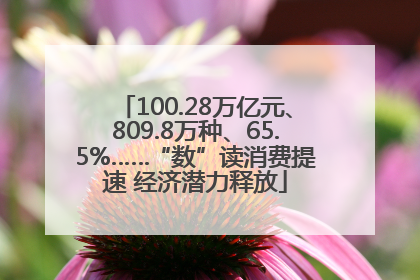 100.28万亿元、809.8万种、65.5%……“数”读消费提速 经济潜力释放