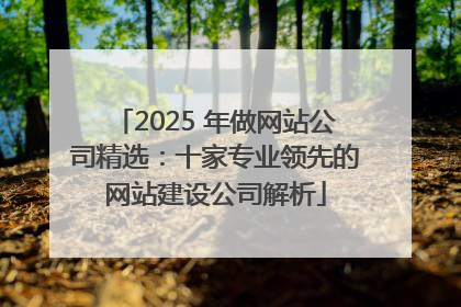 2025 年做网站公司精选：十家专业领先的网站建设公司解析