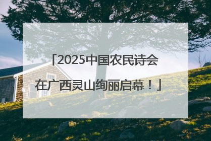 2025中国农民诗会在广西灵山绚丽启幕！