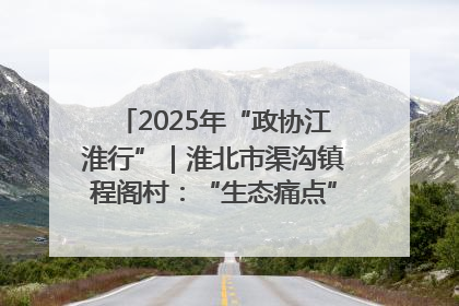 2025年“政协江淮行”｜淮北市渠沟镇程阁村：“生态痛点”变“生态景观”