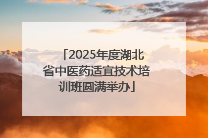 2025年度湖北省中医药适宜技术培训班圆满举办