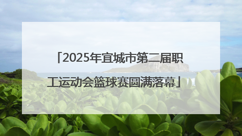 2025年宜城市第二届职工运动会篮球赛圆满落幕