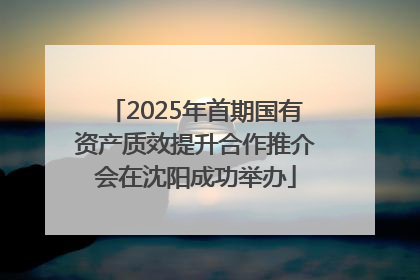 2025年首期国有资产质效提升合作推介会在沈阳成功举办