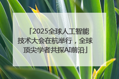 2025全球人工智能技术大会在杭举行，全球顶尖学者共探AI前沿