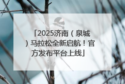 2025济南（泉城）马拉松全新启航！官方发布平台上线