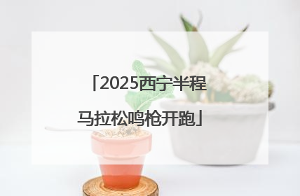 2025西宁半程马拉松鸣枪开跑