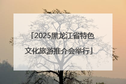 2025黑龙江省特色文化旅游推介会举行