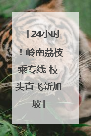 24小时！岭南荔枝乘专线 枝头直飞新加坡