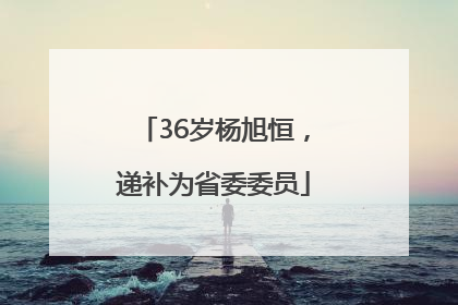36岁杨旭恒，递补为省委委员