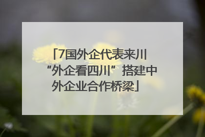 7国外企代表来川 “外企看四川”搭建中外企业合作桥梁