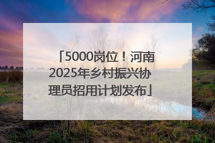5000岗位！河南2025年乡村振兴协理员招用计划发布